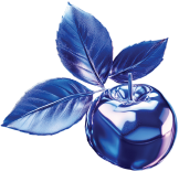 Djoy Pod Max: Blueberry Groove Djoy Pod Max: Blueberry Groove